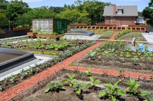 Jardin sur toiture plateforme